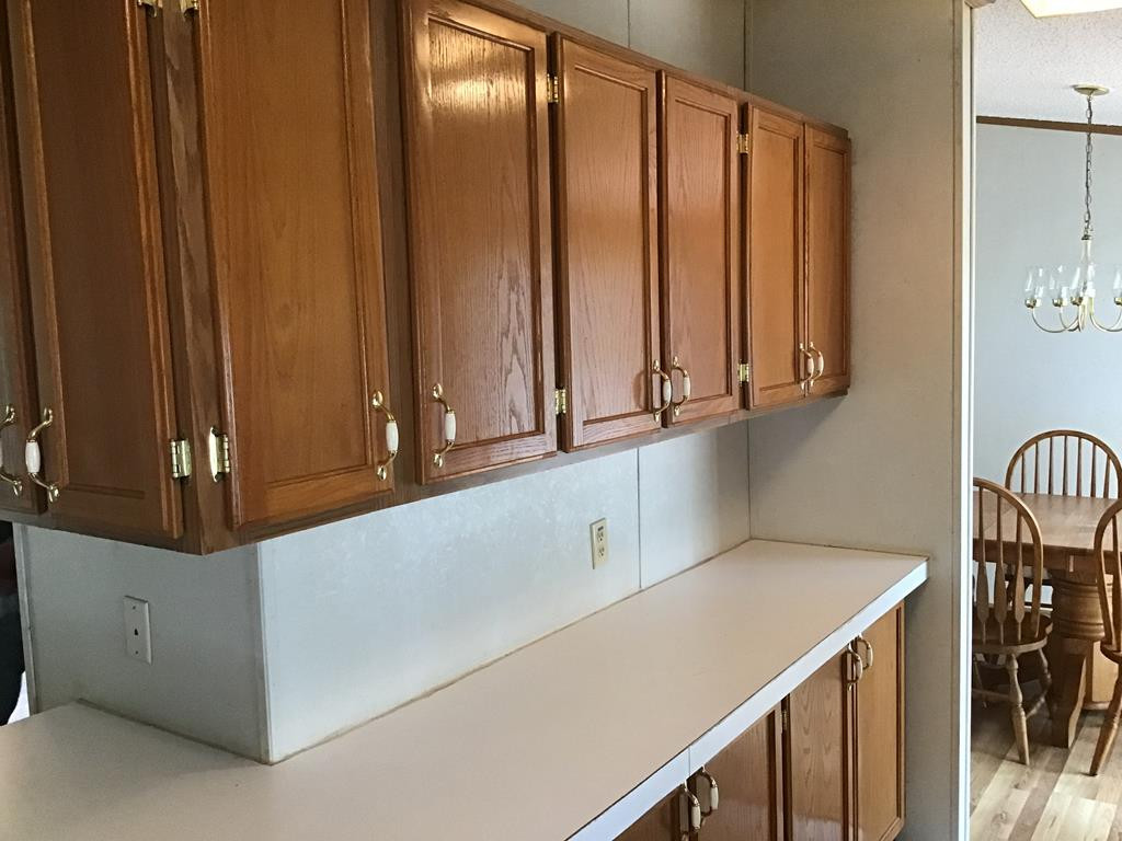1100 Fox Young Road Wagener, SC 29164 - Photo 18 of 54