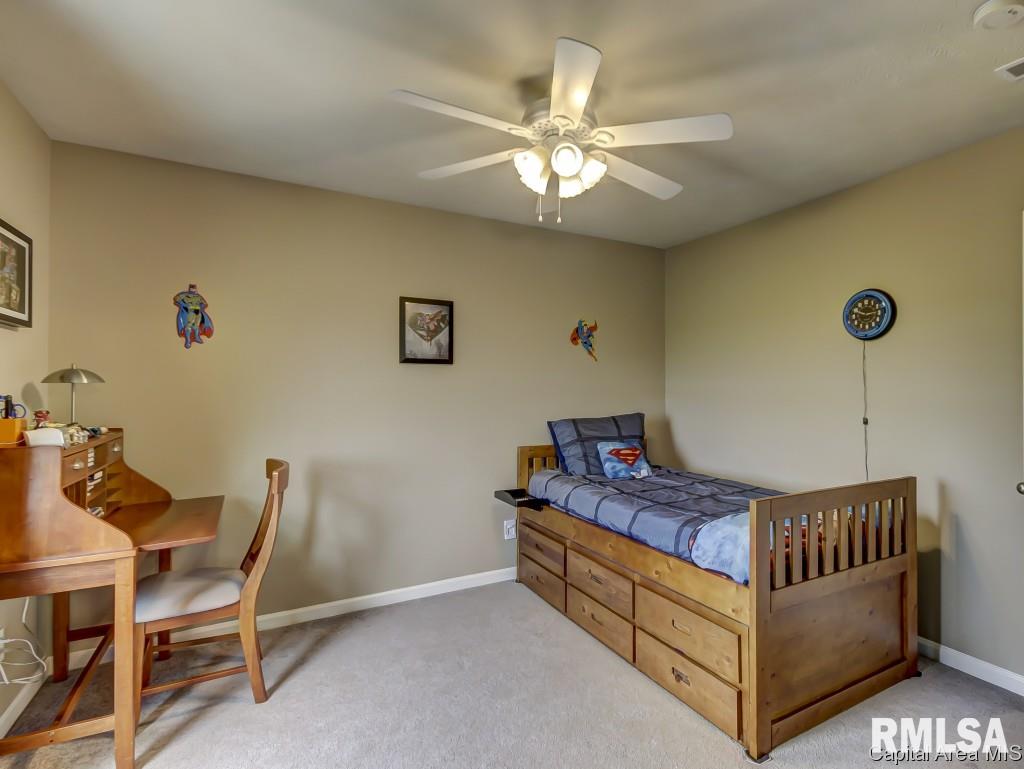 3701 Carney Boulevard Springfield, IL 62712 - Photo 19 of 33 Gallery Image 19