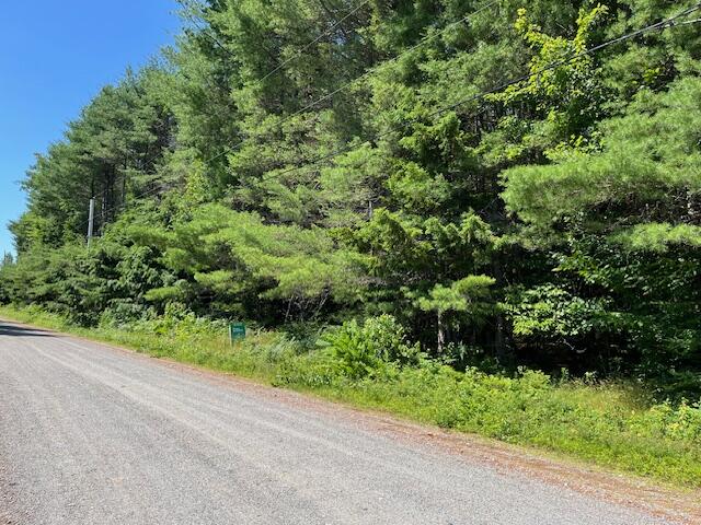 Lot 005 Dority Farm Road Ellsworth, ME 04605 - Photo 4 of 4 Alternate view from the Street