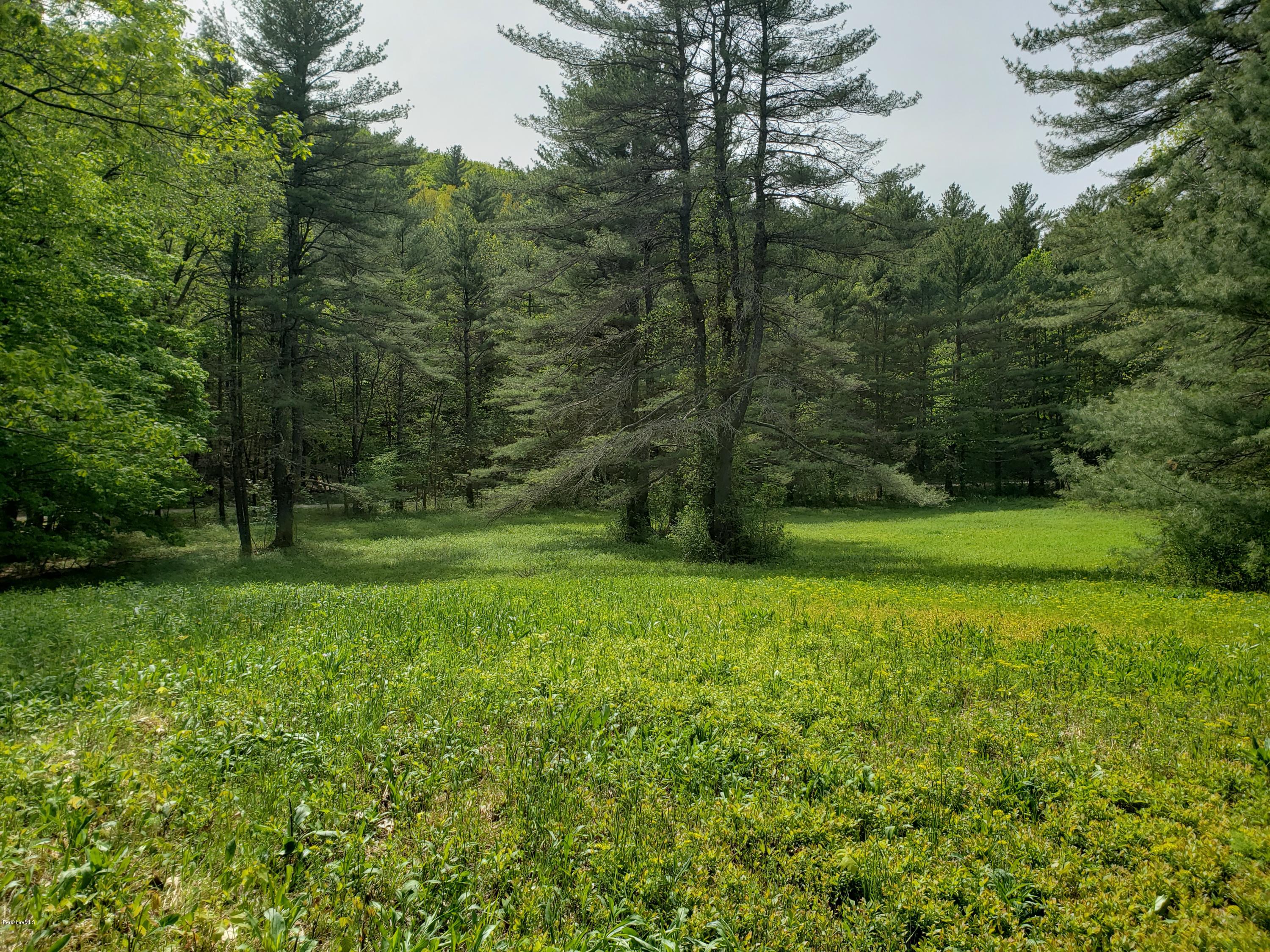 0 Jug End Road Egremont, MA 01230 - Photo 1 of 7 20190522_144536-1