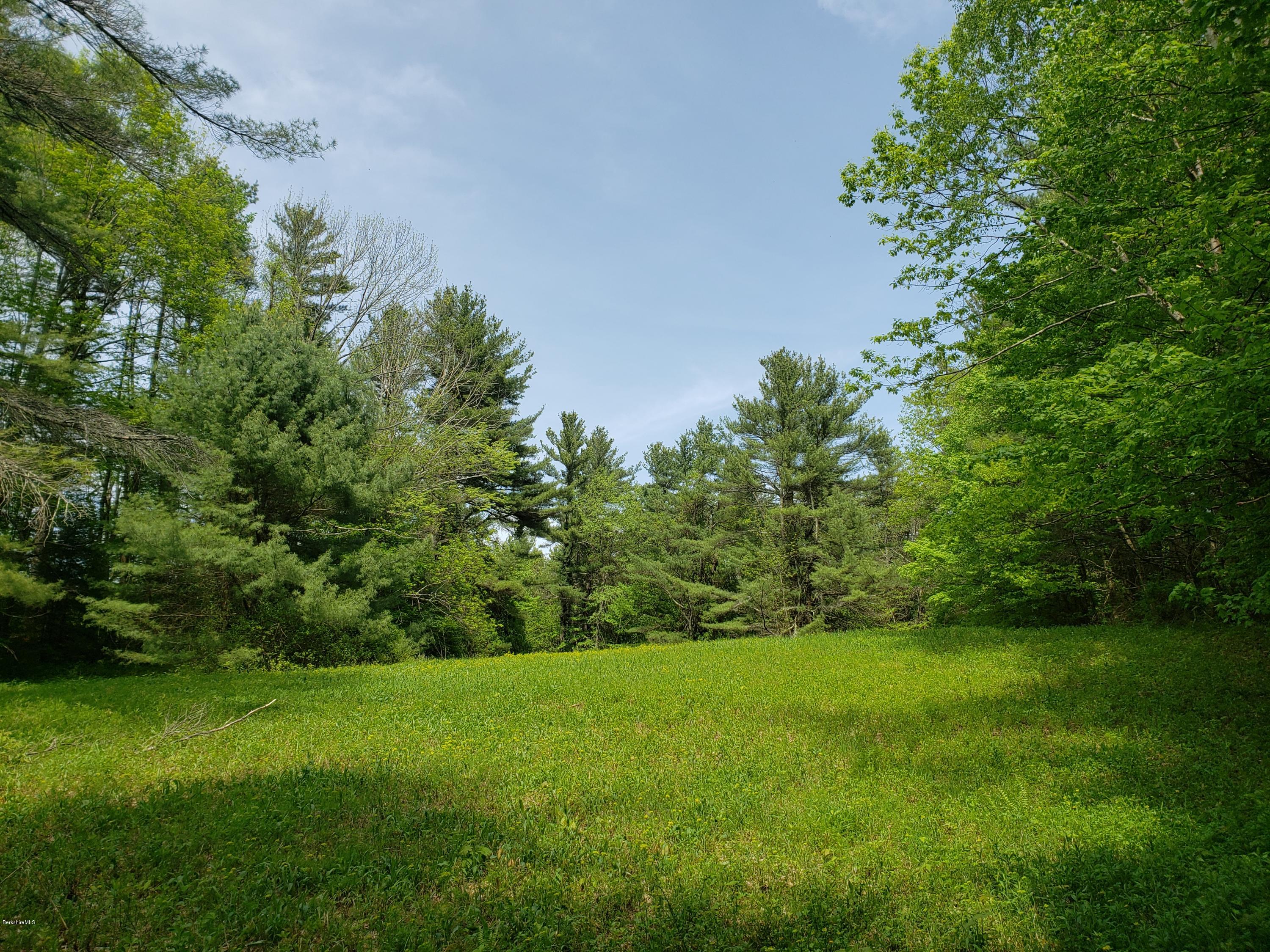 0 Jug End Road Egremont, MA 01230 - Photo 2 of 7 20190522_144428