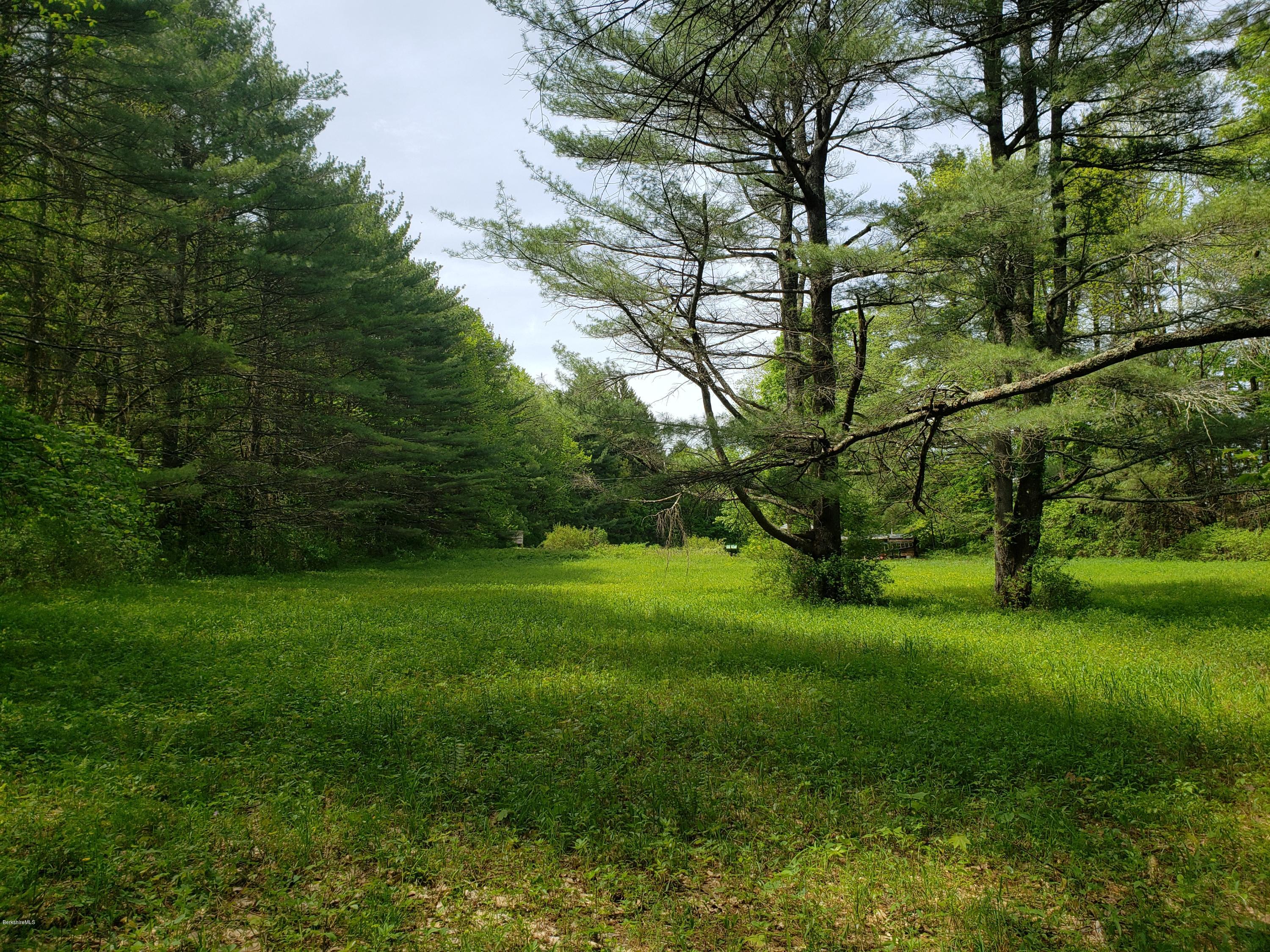0 Jug End Road Egremont, MA 01230 - Photo 3 of 7 20190522_144410