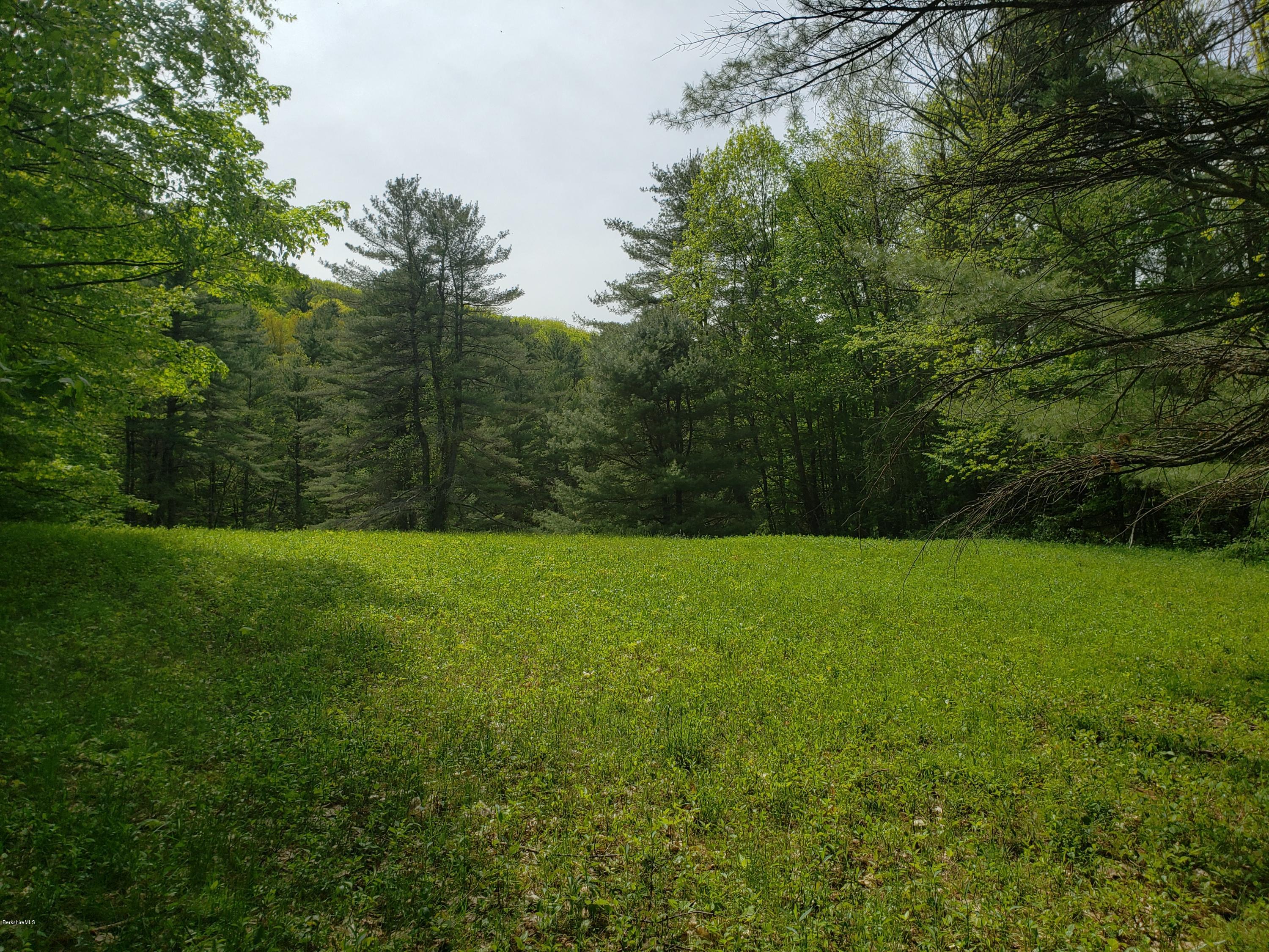 0 Jug End Road Egremont, MA 01230 - Photo 4 of 7 20190522_144612