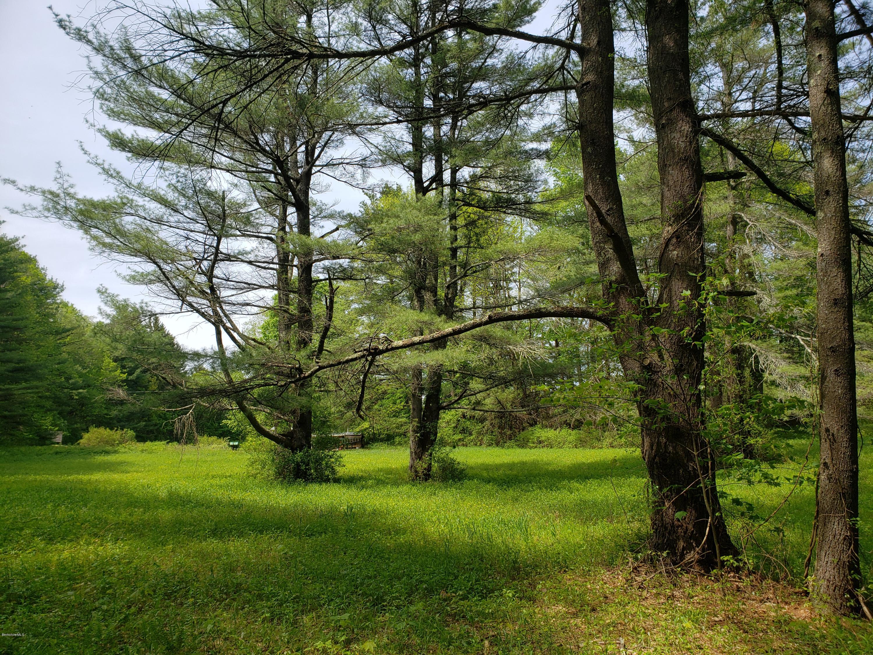 0 Jug End Road Egremont, MA 01230 - Photo 5 of 7 20190522_144406