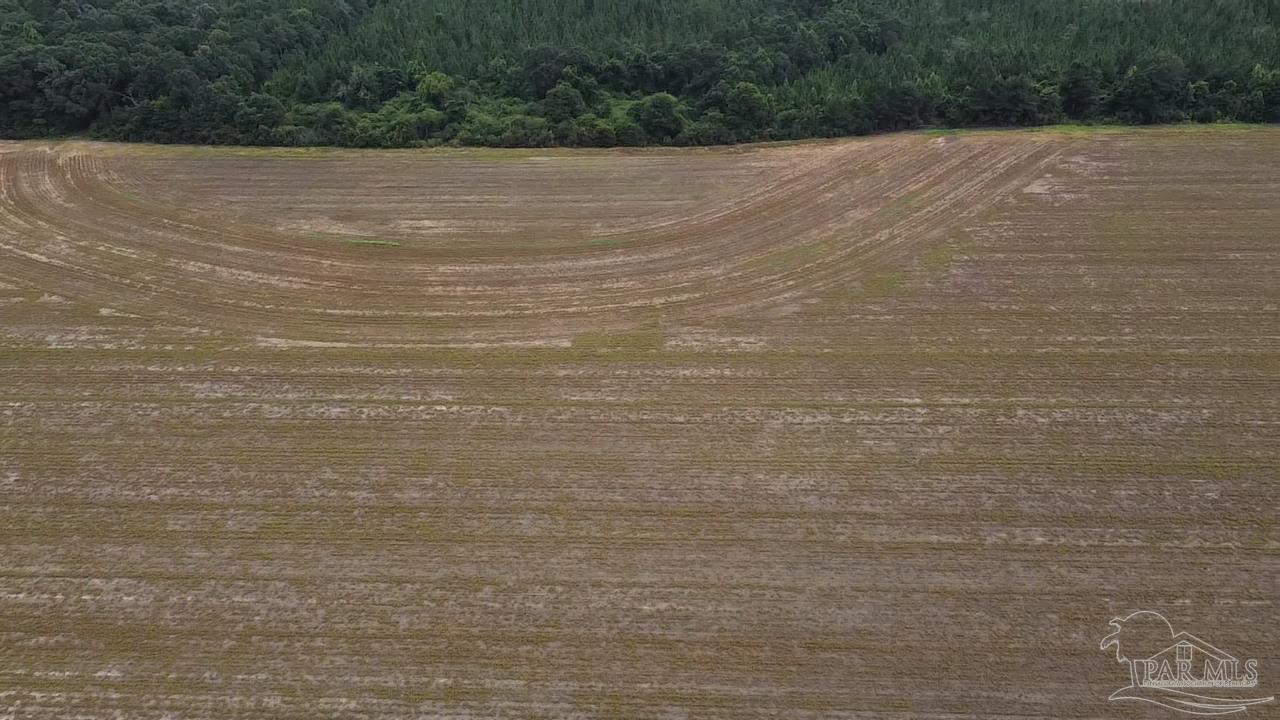 7600 Bratt Road Century, FL 32535 - Photo 11 of 41