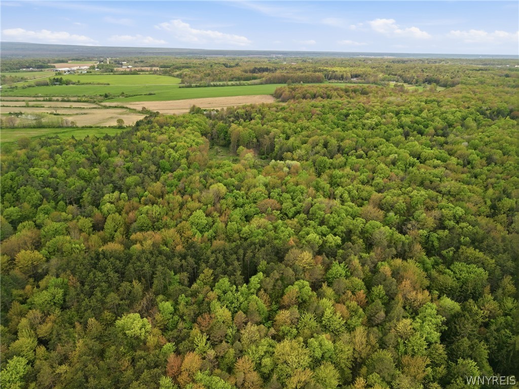 0 Genesee Road Lawtons, NY 14091 - Photo 7 of 34