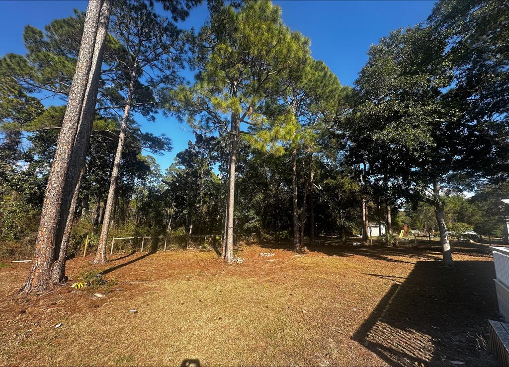 119 Old Ferry Dock Road Eastpoint, FL 32328 - Photo 33 of 48