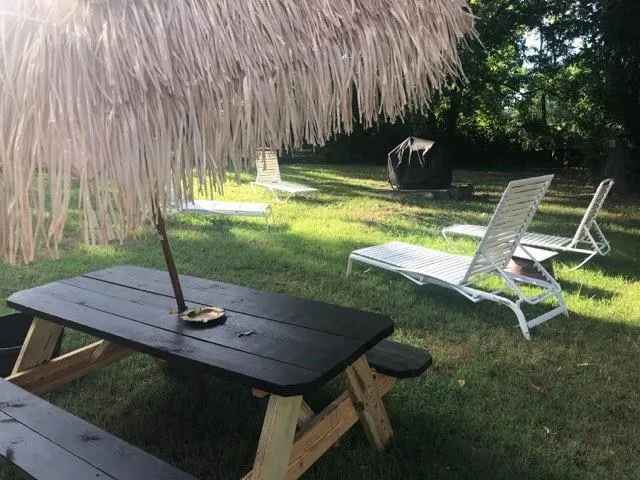 a view of a chairs and table in backyard