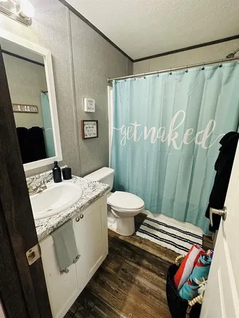 a bathroom with a sink a toilet and a mirror