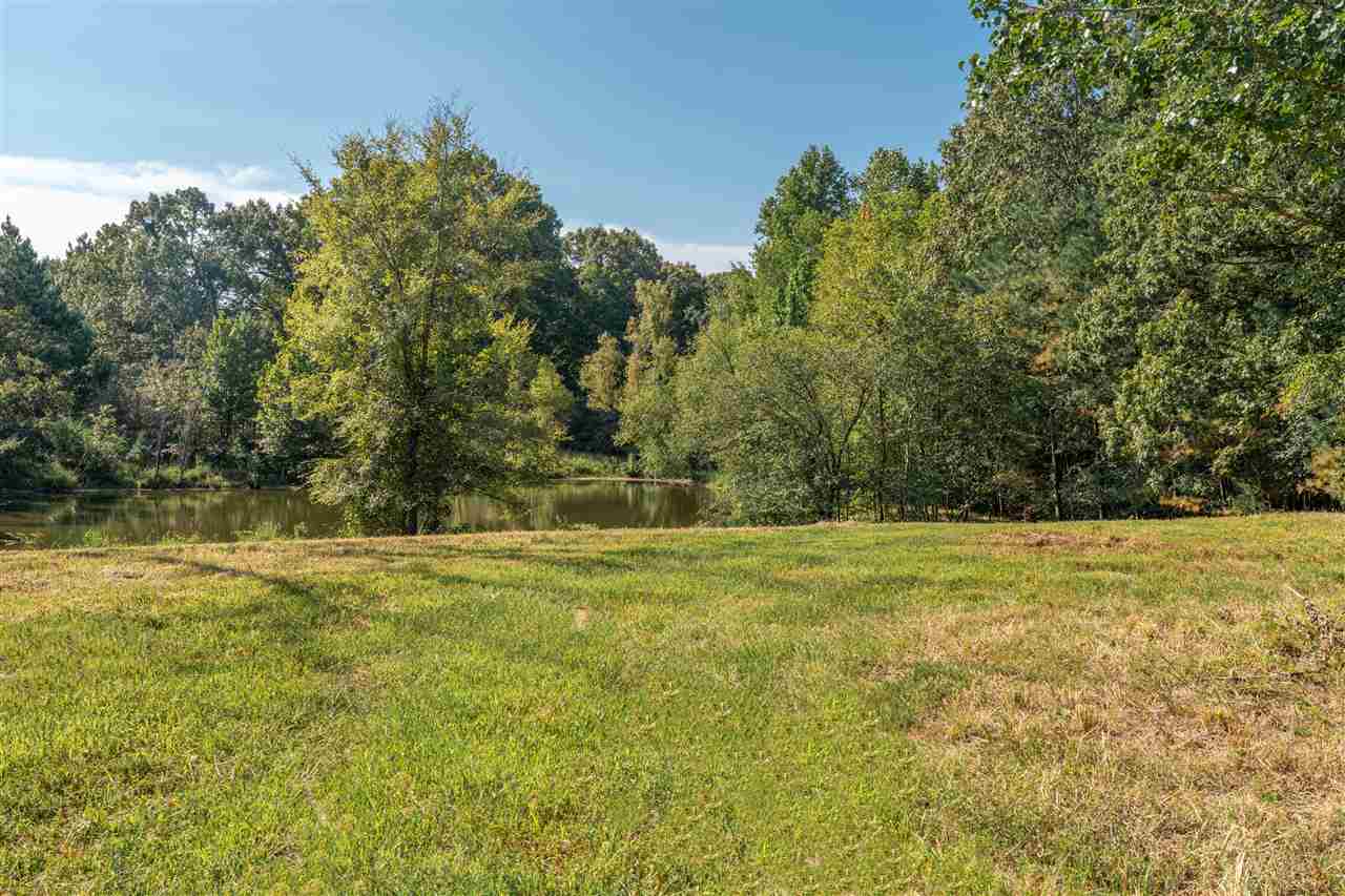 Can you see your dream home here?  13+ Acre building site(s) with POND! Whether you merely want a getaway piece of property to relax and fish, or to build your dream home, this property can accommodate.
