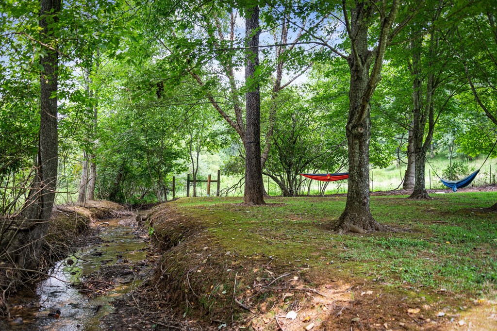 1571 West Campbell Camp Road Blue Ridge, GA 30513 - Photo 3 of 102