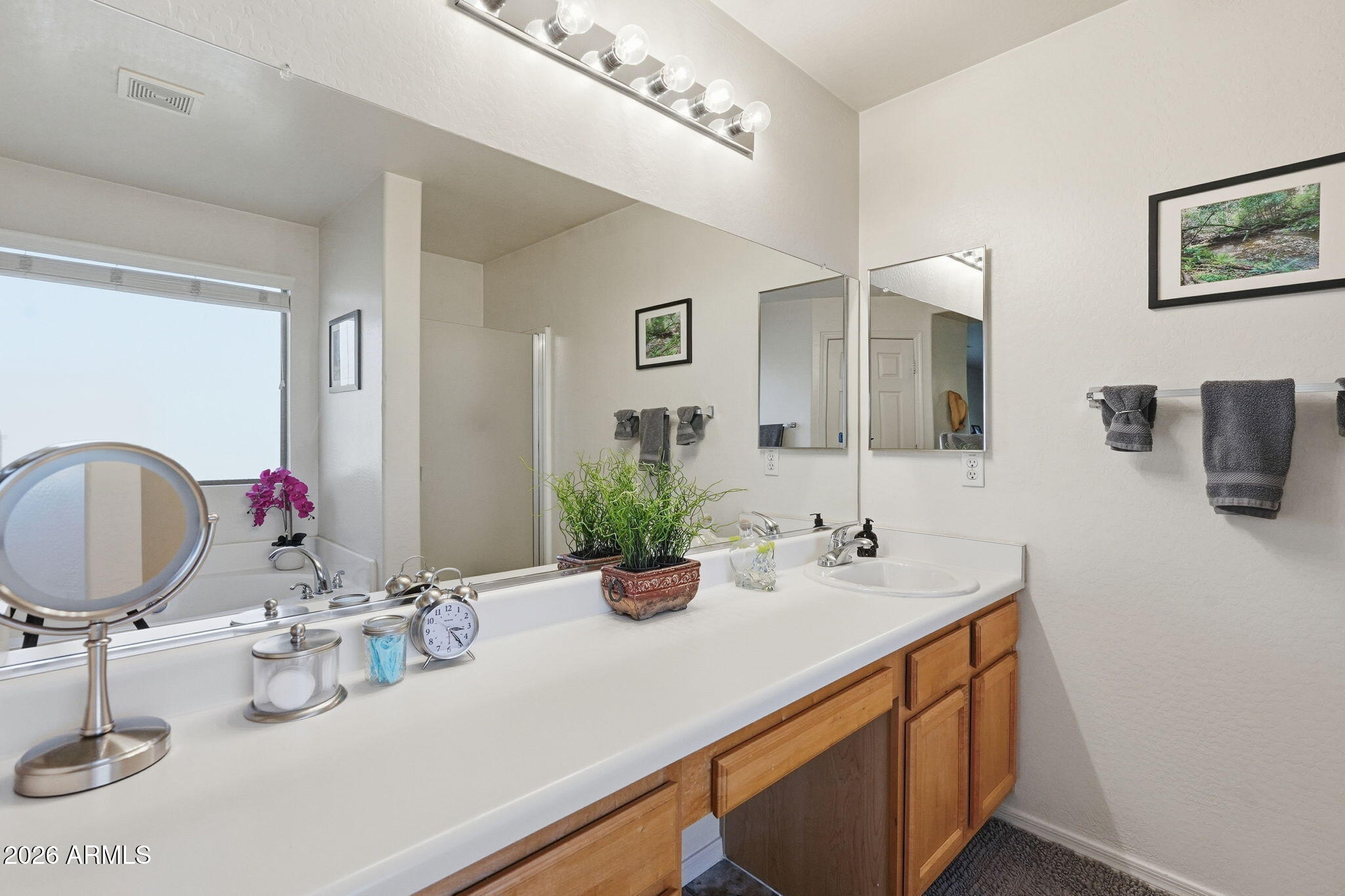 17760 West Charter Oak Road Surprise, AZ 85388 - Photo 36 of 45 a bathroom with a double vanity sink and a mirror