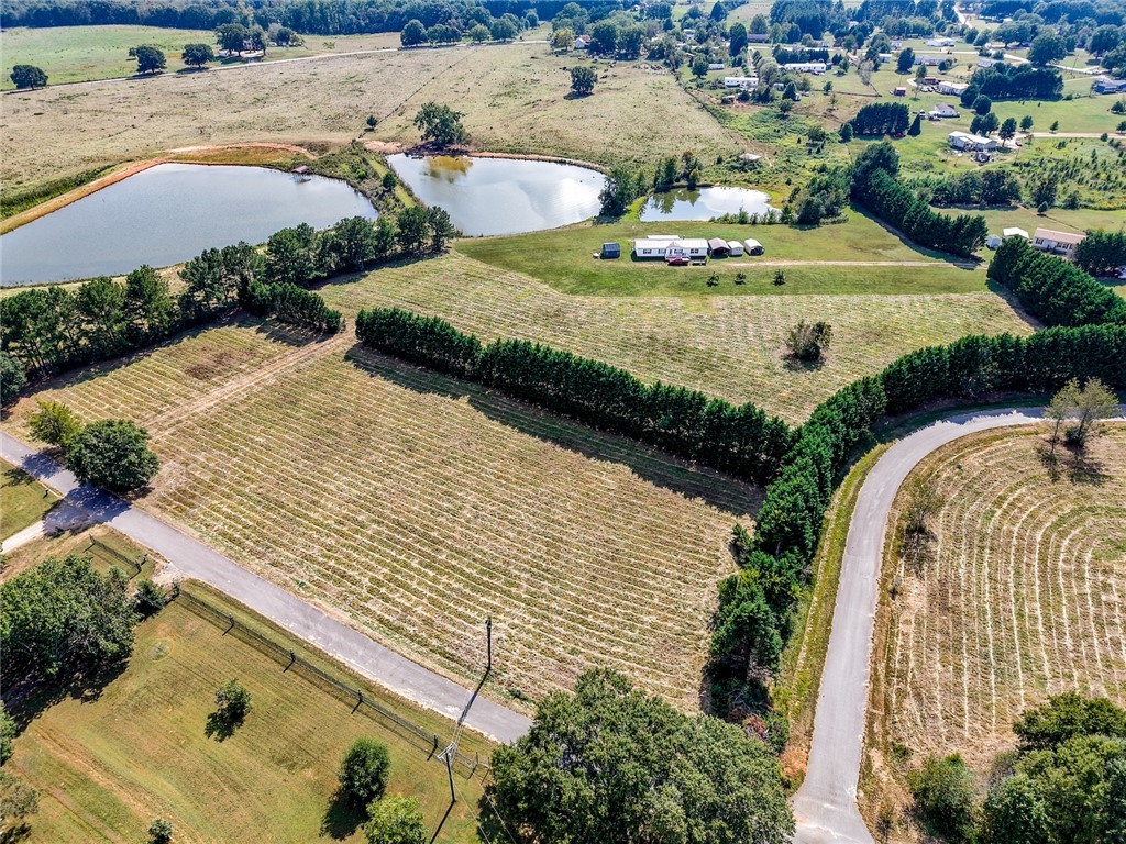 48 Lester Road Williamston, SC 29697 - Photo 3 of 5
