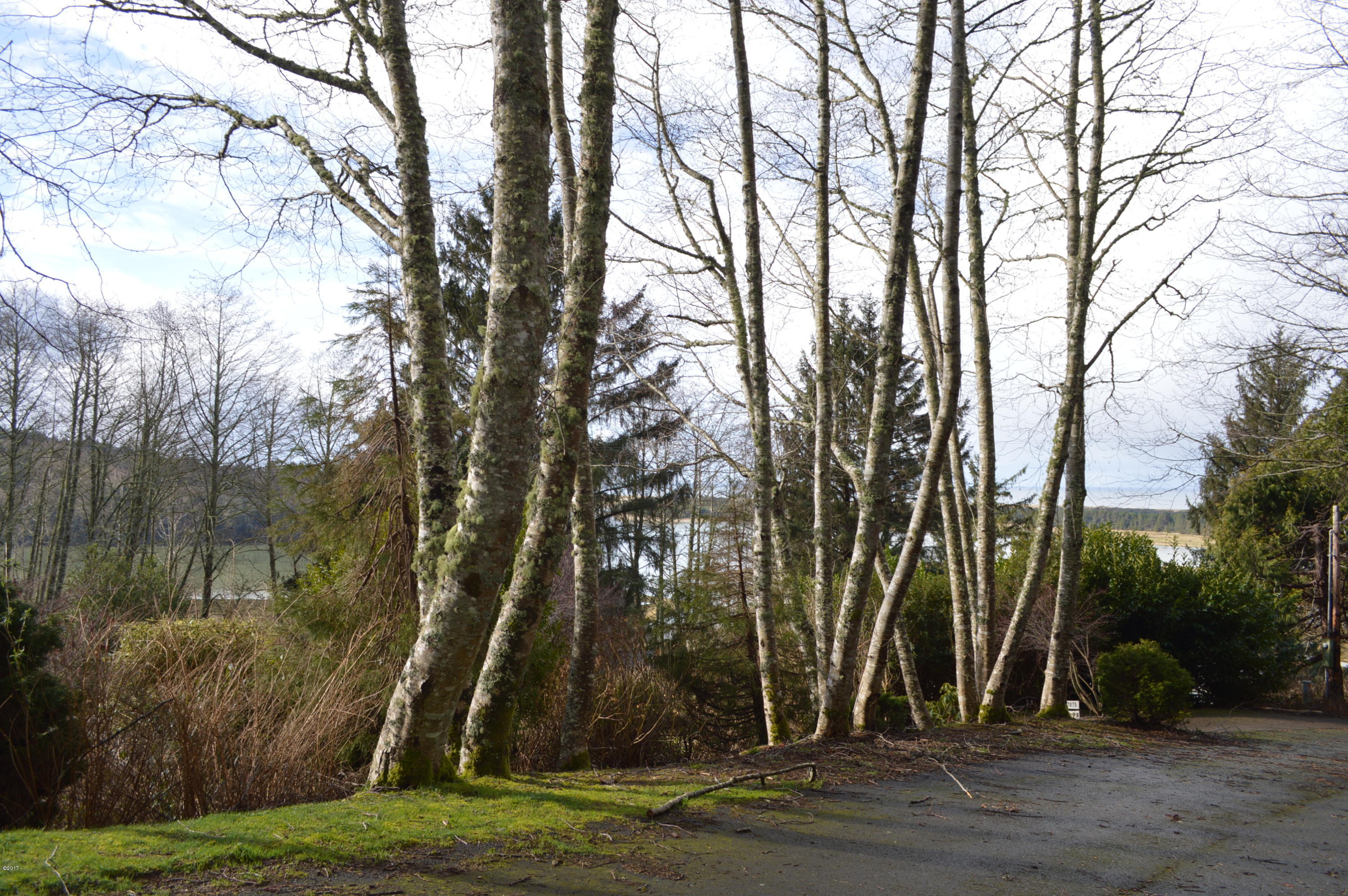307 Brooten Hill Road Pacific City, OR 97135 - Photo 2 of 2 View