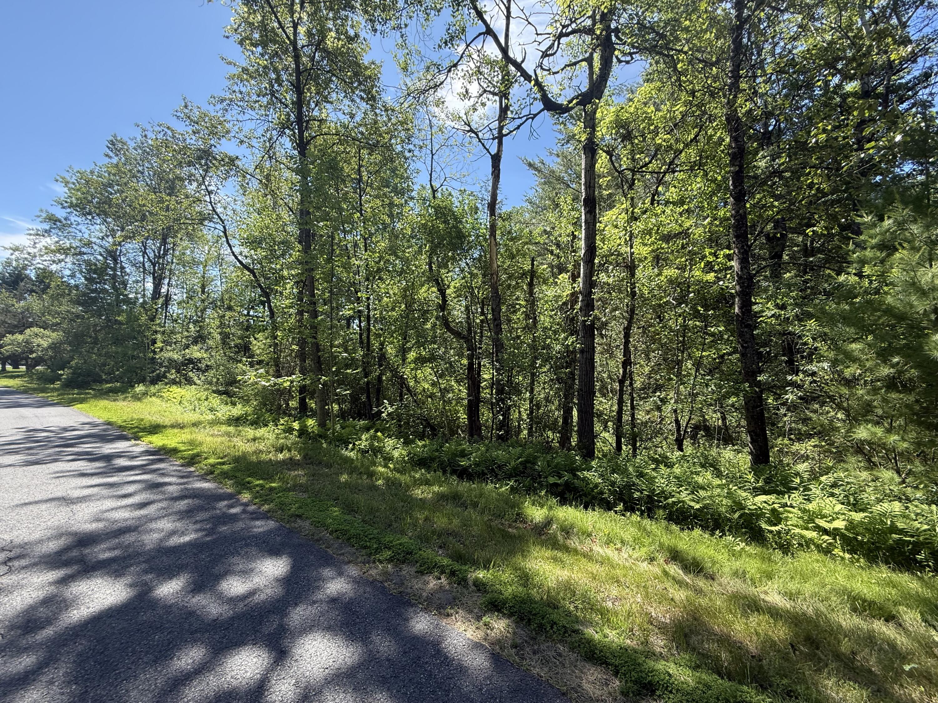 0 Quaker Highlands Road Peru, NY 12972 - Photo 9 of 9