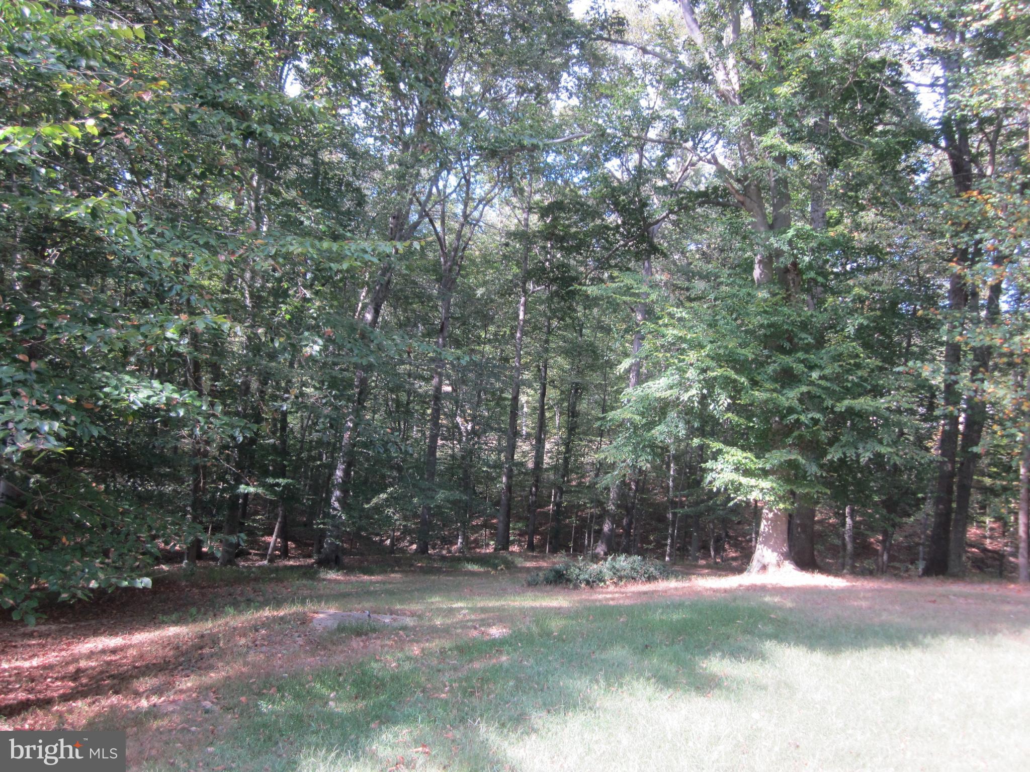 8026 Stillbrooke Road Manassas, VA 20112 - Photo 27 of 33 Outdoors on property