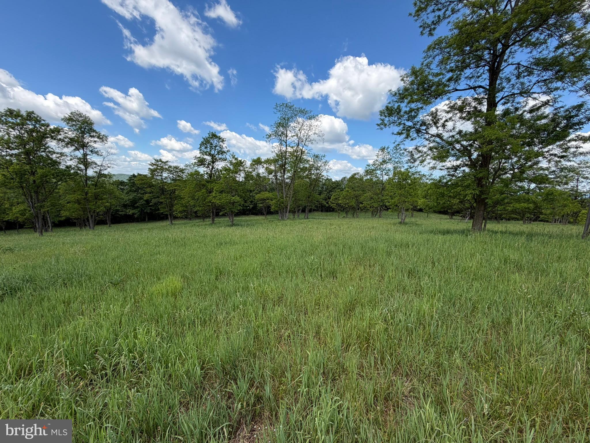 848 Sugar Camp Road Clearfield, PA 16830 - Photo 70 of 118