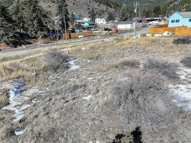 a view of a yard with a large tree