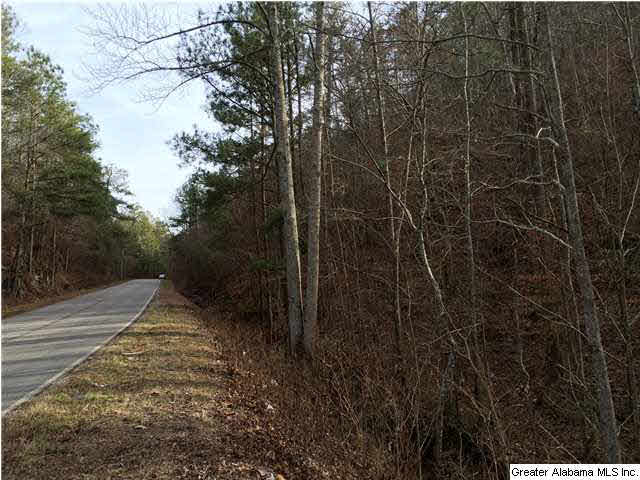 734 Valley Grove Road, Unit 15 4 ACR Remlap, AL 35133 - Photo 32 of 32