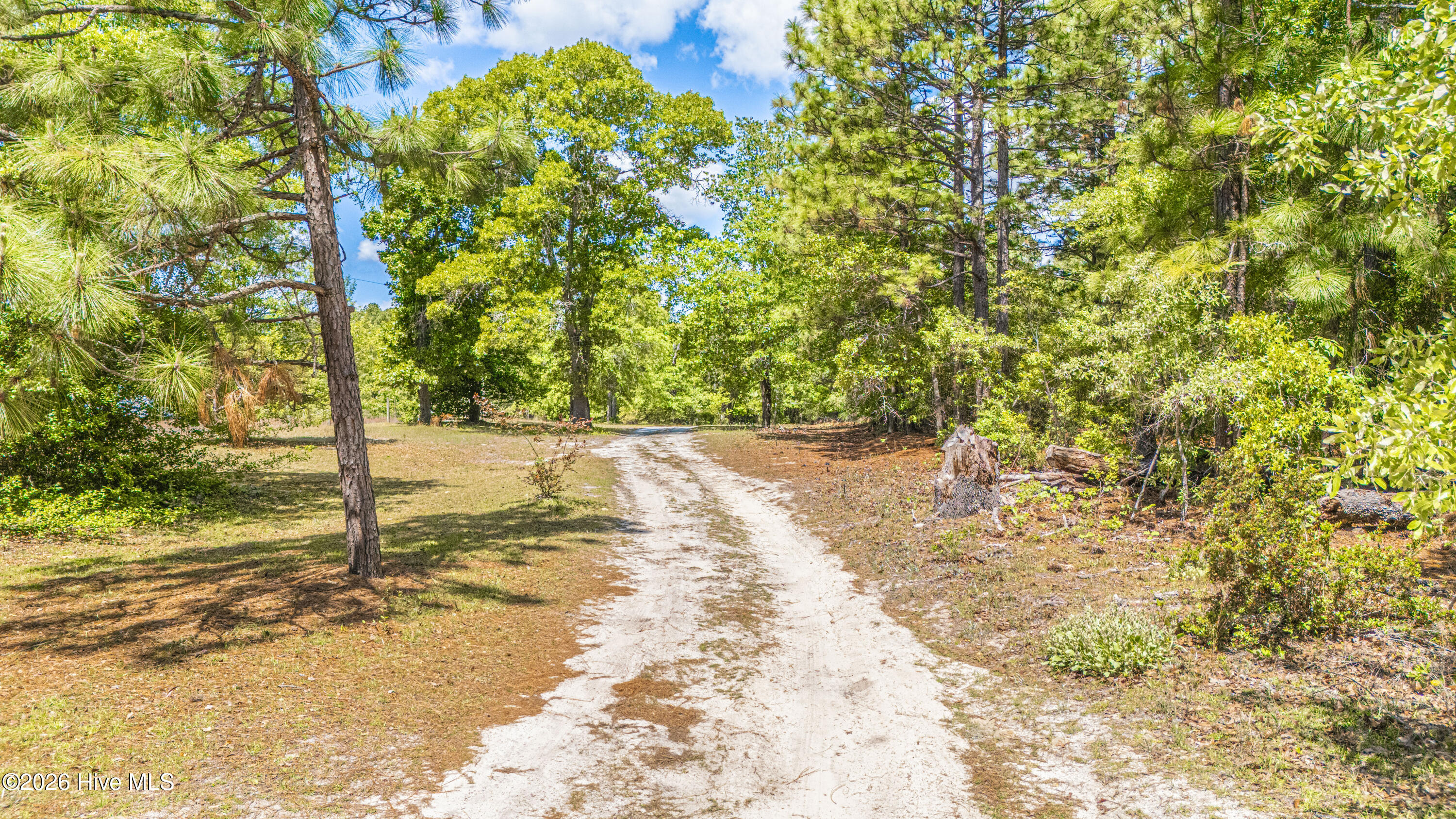 490 Springhill Church Road Hamlet, NC 28345 - Photo 71 of 72 DJI_20260513114714_0013_D