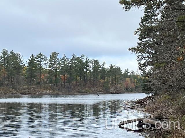 24380 Co Road Ishpeming, MI 49849 - Photo 62 of 92