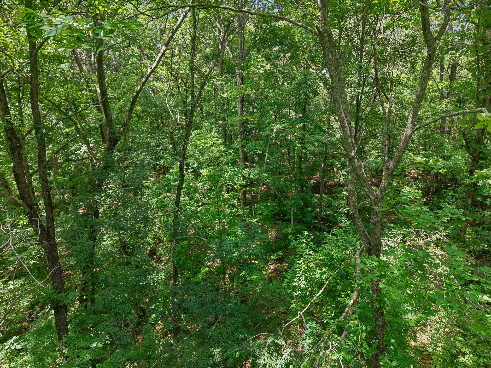 7368 Walker Road Fairview, TN 37062 - Photo 66 of 74