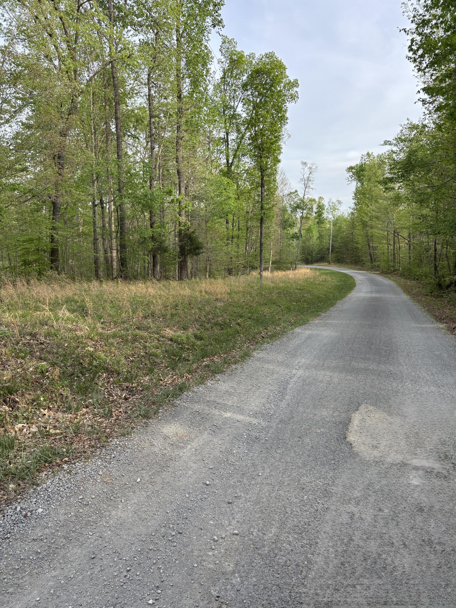 Lot 22 Campbell Road Nancy, KY 42544 - Photo 1 of 1 IMG_1372 2