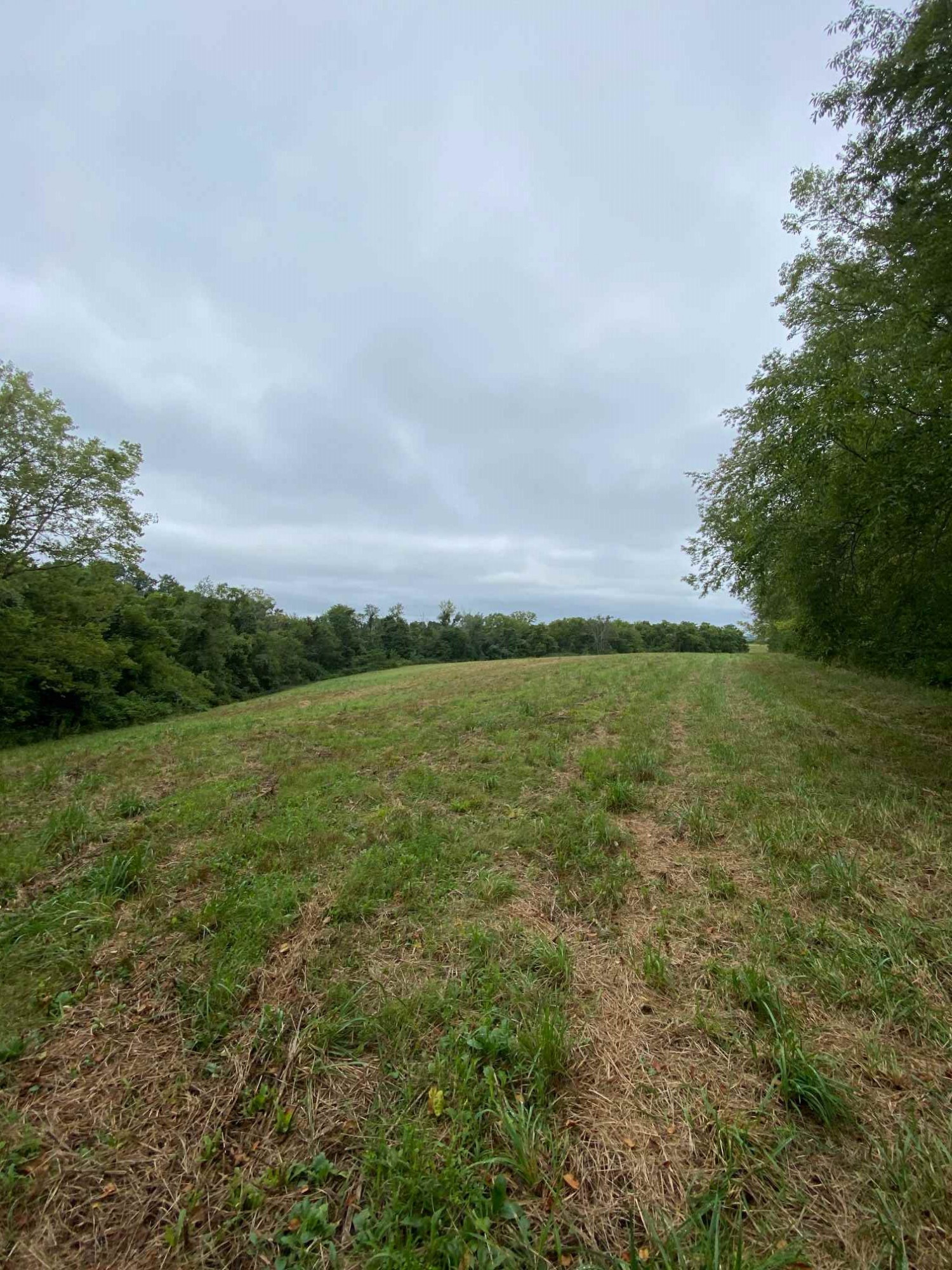 3 Baton Rouge Road Williamstown, KY 41097 - Photo 21 of 25