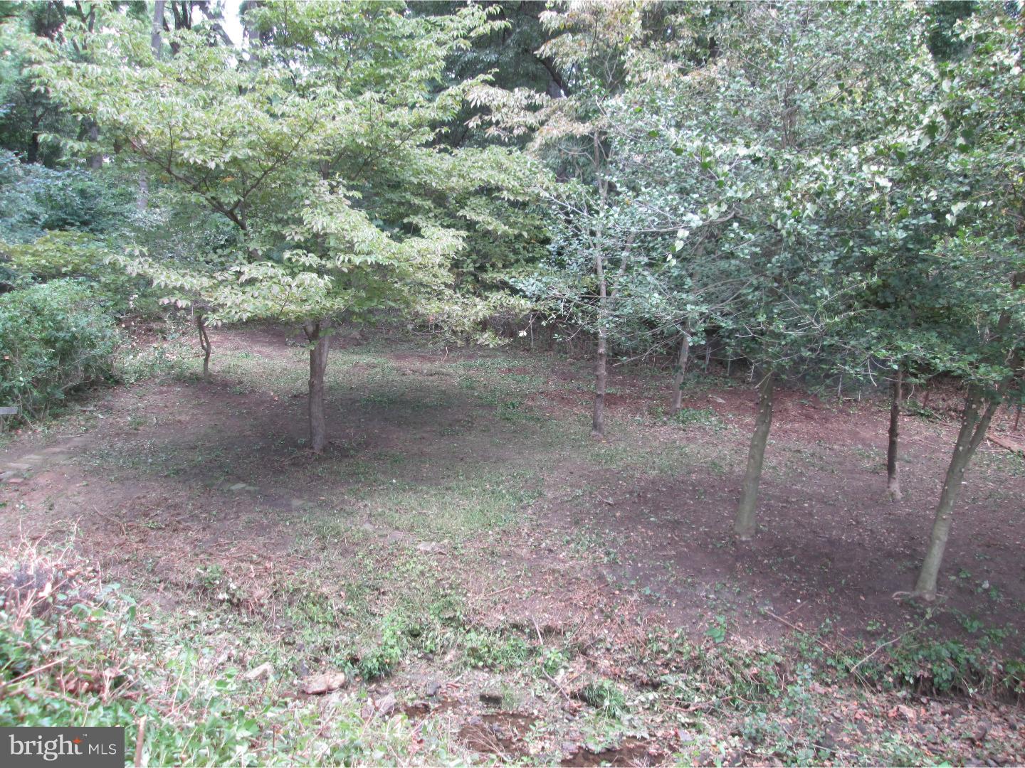 243 Gleaves Road Springfield, PA 19064 - Photo 22 of 25 Back Yard