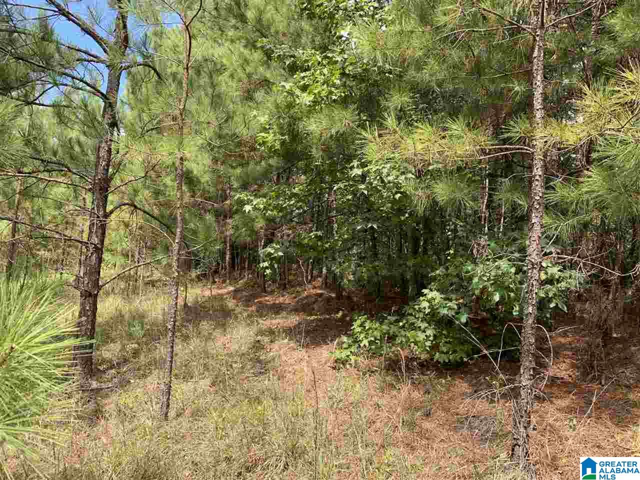 Mckesie Street, Unit 40 Riverside, AL 35135 - Photo 12 of 24