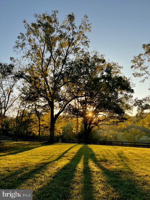 9781 Conde Road Marshall, VA 20115 - Photo 95 of 105 Gallery Image 95