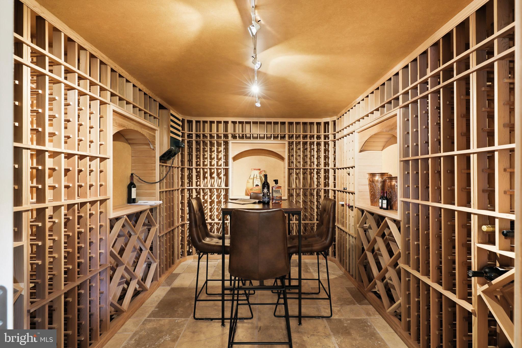 367 Millpond Drive Lititz, PA 17543 - Photo 7 of 65 Wine cellar