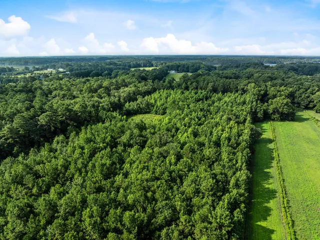 $144,999 | 0 Oakville Road, Hollywood, SC 29449