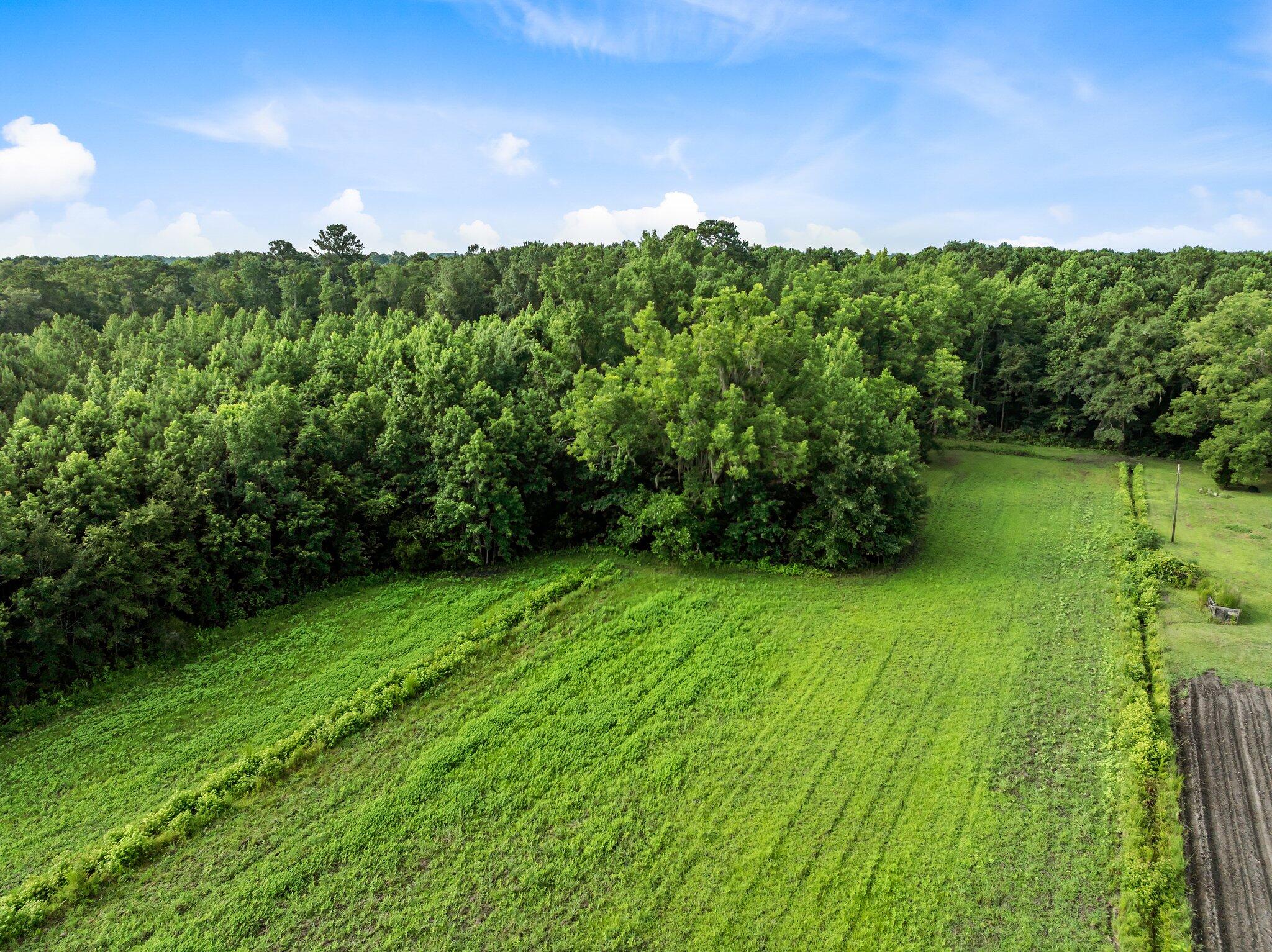 0 Oakville Road Hollywood, SC 29449 - Photo 13 of 15 13-web-or-mls-DJI_0510