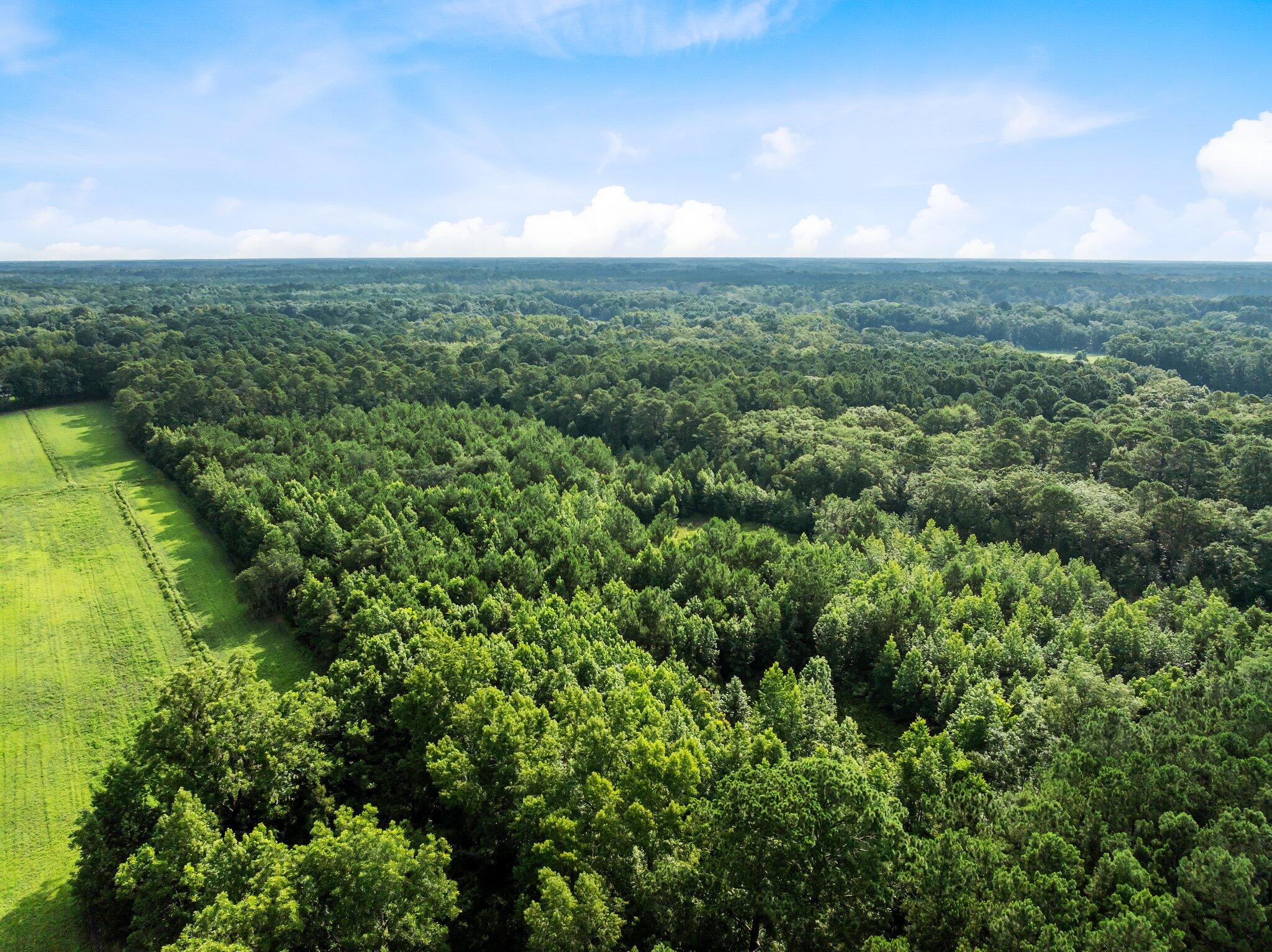 0 Oakville Road Hollywood, SC 29449 - Photo 2 of 15 1-web-or-mls-DJI_0487