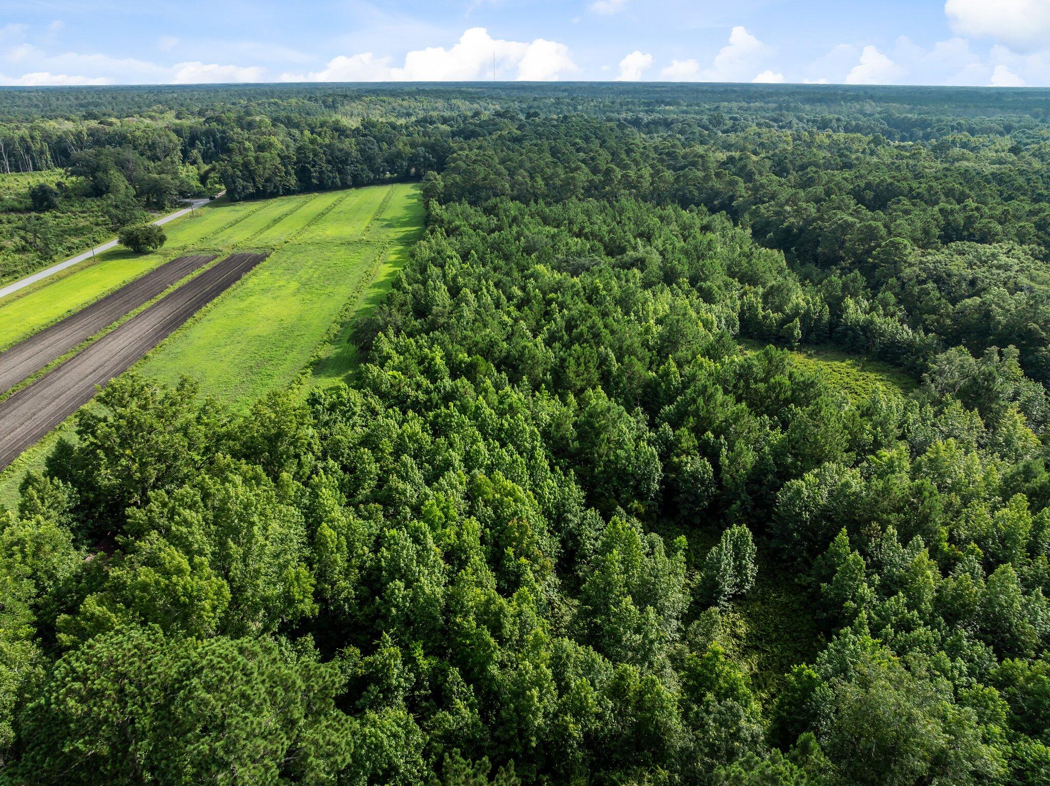 0 Oakville Road Hollywood, SC 29449 - Photo 3 of 15 2-web-or-mls-DJI_0488
