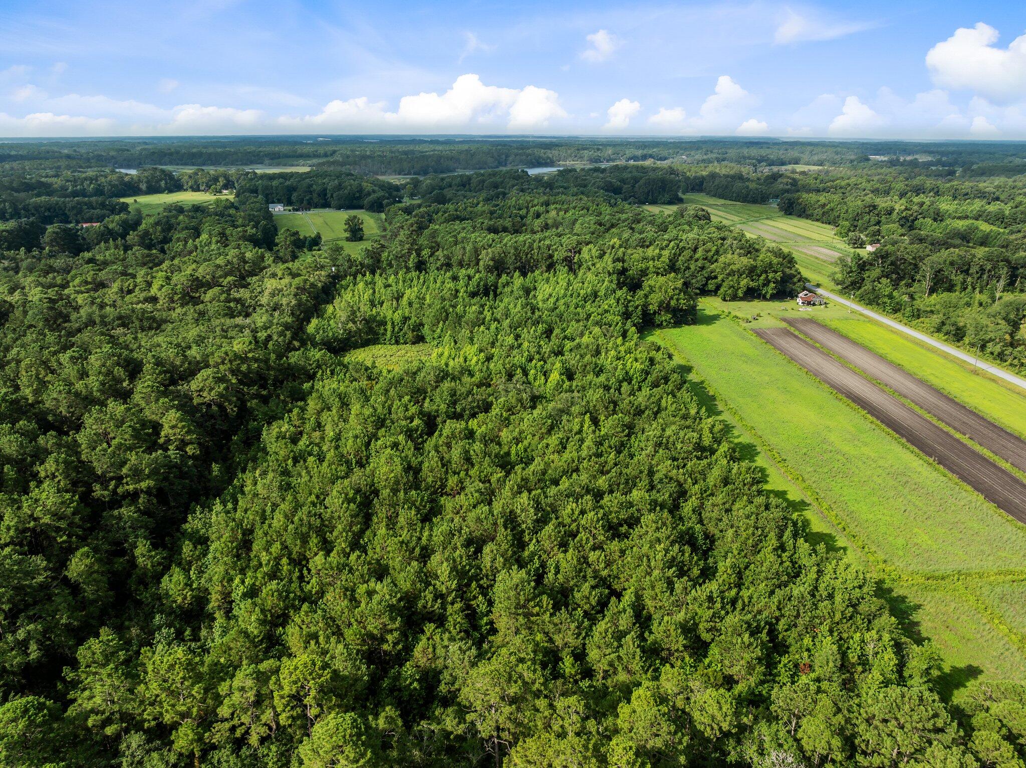 0 Oakville Road Hollywood, SC 29449 - Photo 6 of 15 5-web-or-mls-DJI_0493