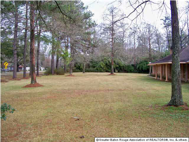 9434 Springfield Road Denham Springs, LA 70706 - Photo 3 of 16