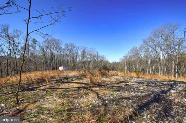 a view of dirt yard with trees