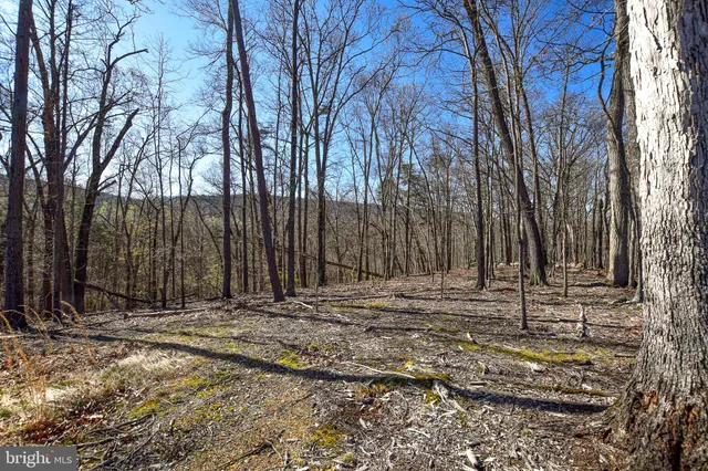 a view of a backyard of the house