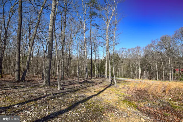 a view of outdoor space with trees