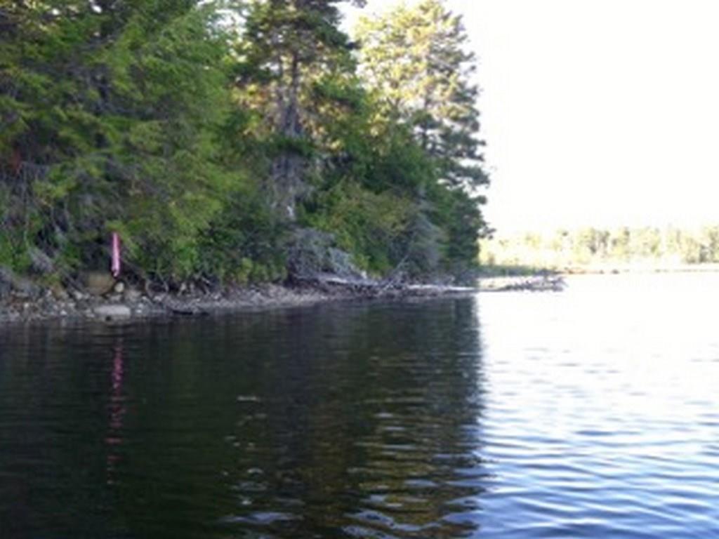 374 Bottle Lake Road Springfield, ME 04487 - Photo 11 of 23 Photo