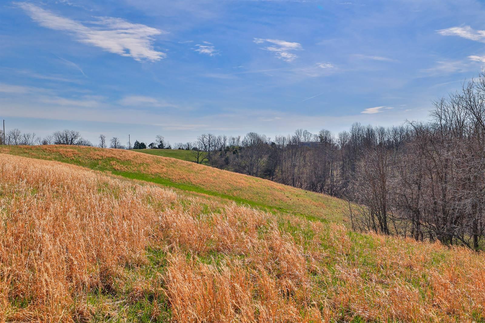 3815 Georgetown Road Owenton, KY 40359 - Photo 27 of 43