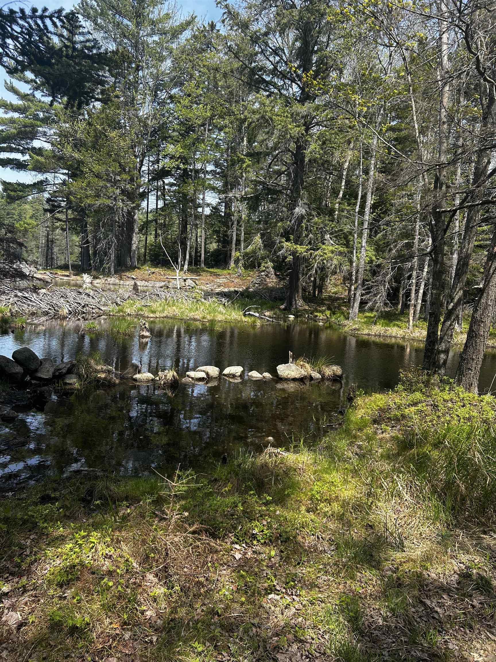 Baine Road Alstead, NH 03602 - Photo 8 of 8