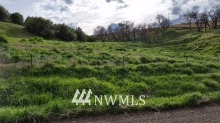 3 Lambie Grade Road Pomeroy, WA 99347 - Photo 1 of 6