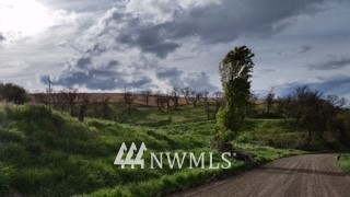 3 Lambie Grade Road Pomeroy, WA 99347 - Photo 3 of 6