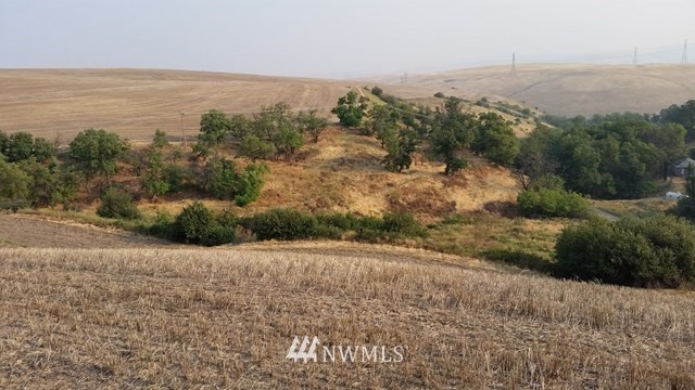 3 Lambie Grade Road Pomeroy, WA 99347 - Photo 6 of 6