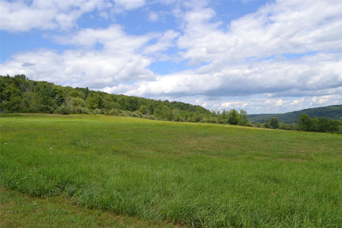 370 Card Road Apalachin, NY 13732 - Photo 32 of 34 Gallery Image 32