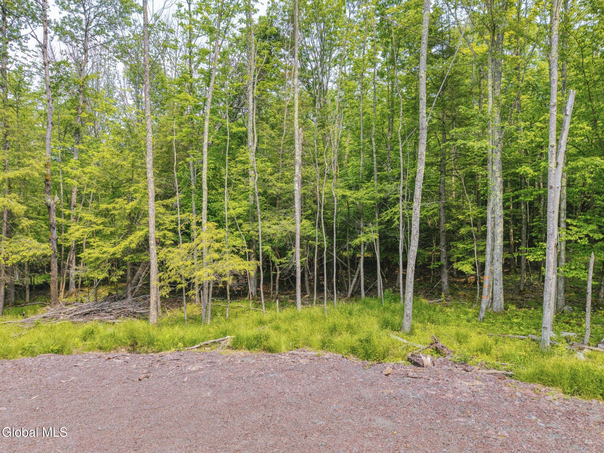 L37 Boulder Brook Road, Unit LOT # 13 Windham, NY 12496 - Photo 48 of 49 Image-62