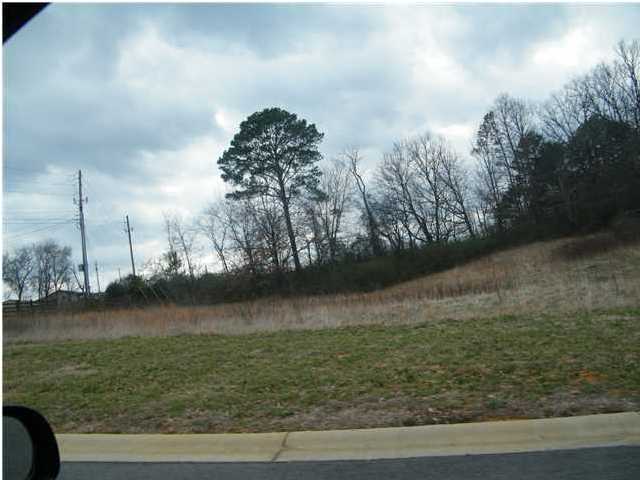 0 Calhoun, Unit LT 42 Dalton, GA 30721 - Photo 1 of 1 Primary Photo